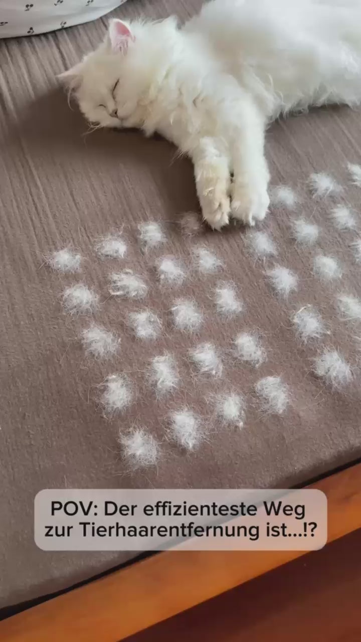 WhatsApp Video 2025-08-26 at 16.56.18.mp4