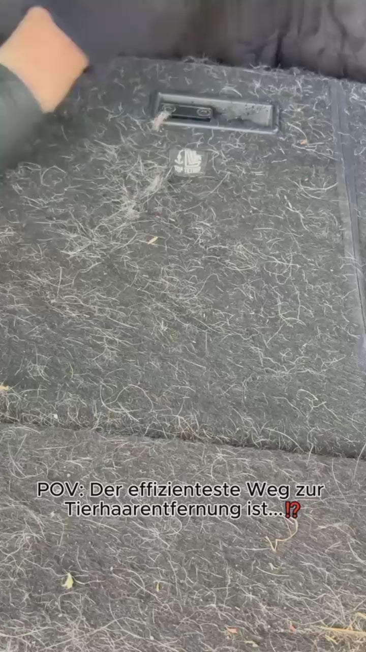 WhatsApp Video 2025-08-22 at 23.32.12.mp4